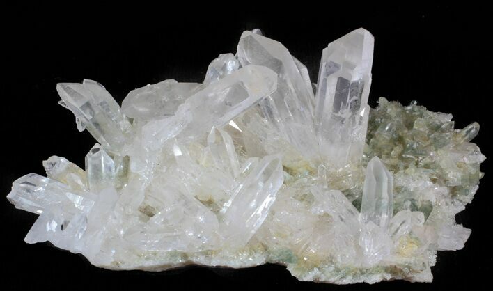 Himalayan Quartz Crystal Cluster with Chlorite Inclusions #63043